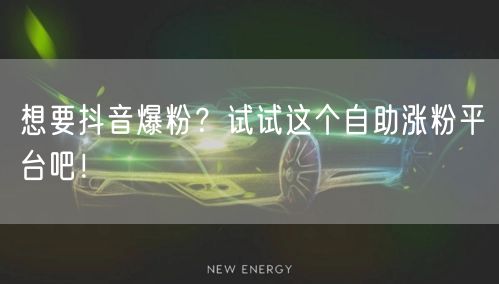 想要抖音爆粉？试试这个自助涨粉平台吧！
