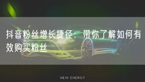 抖音粉丝增长捷径：带你了解如何有效购买粉丝