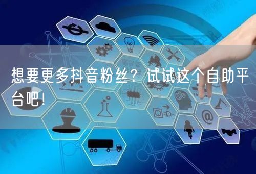 想要更多抖音粉丝？试试这个自助平台吧！