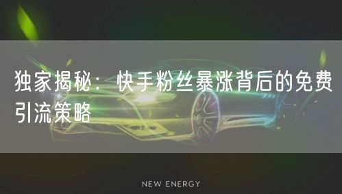 独家揭秘：快手粉丝暴涨背后的免费引流策略
