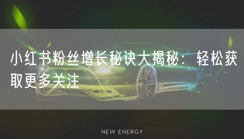 小红书粉丝增长秘诀大揭秘：轻松获取更多关注