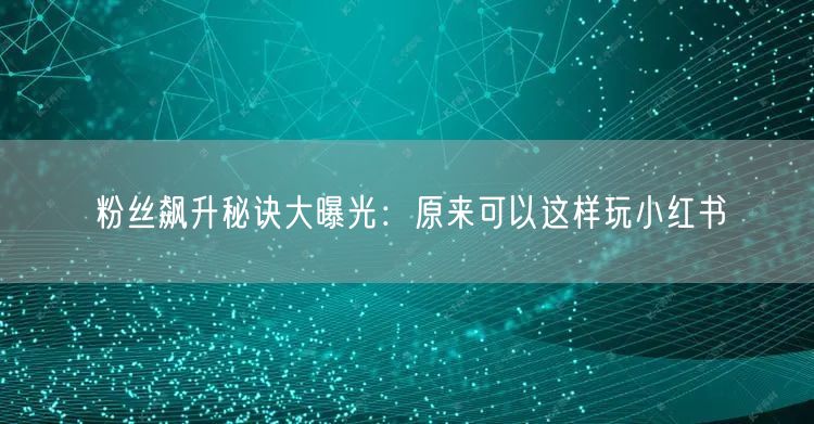 粉丝飙升秘诀大曝光：原来可以这样玩小红书