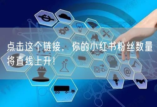 点击这个链接，你的小红书粉丝数量将直线上升！