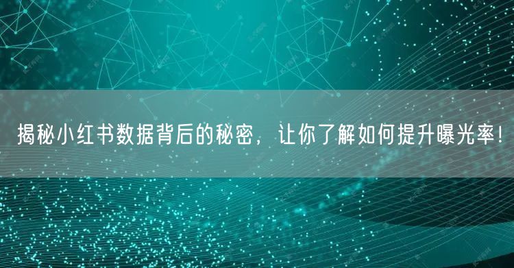 揭秘小红书数据背后的秘密，让你了解如何提升曝光率！