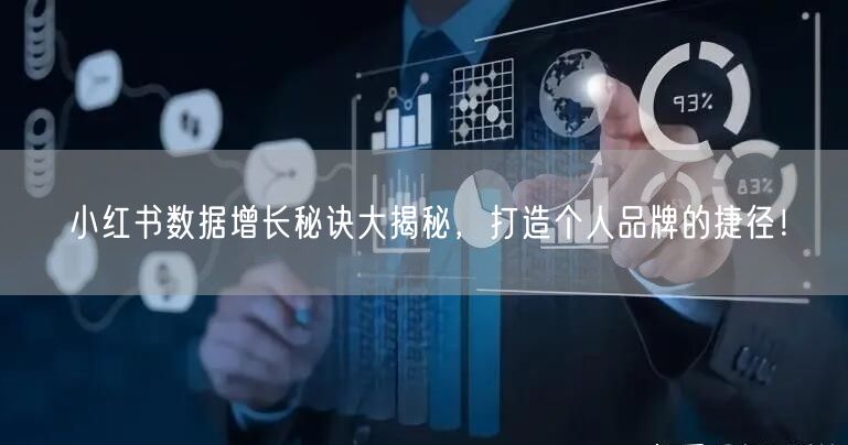 小红书数据增长秘诀大揭秘，打造个人品牌的捷径！