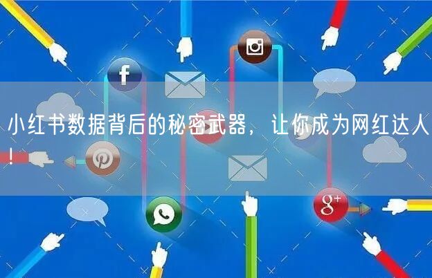 小红书数据背后的秘密武器，让你成为网红达人！