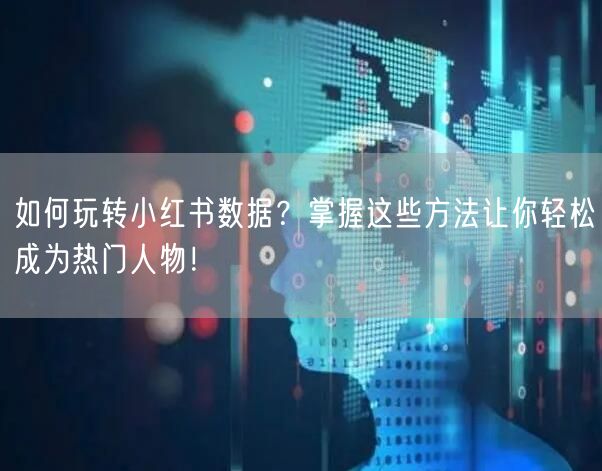 如何玩转小红书数据？掌握这些方法让你轻松