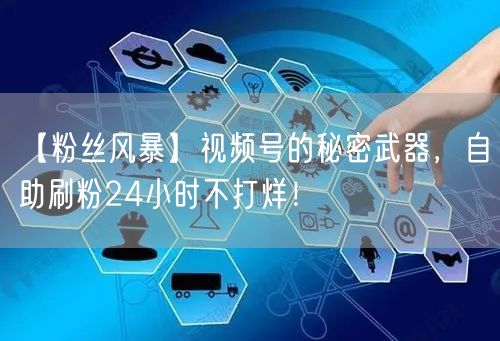 【粉丝风暴】视频号的秘密武器，自助刷粉24小时不打烊！