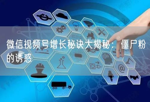 微信视频号增长秘诀大揭秘：僵尸粉的诱惑