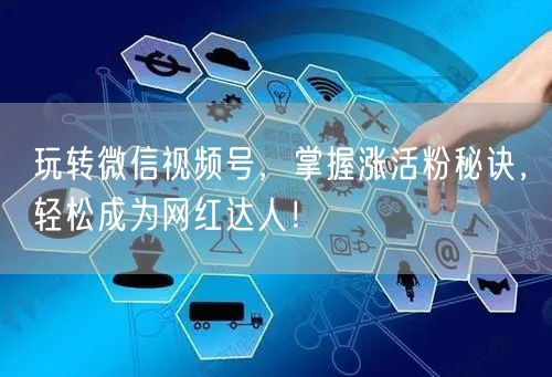 玩转微信视频号，掌握涨活粉秘诀，轻松成为网红达人！