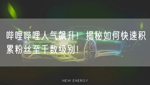 哔哩哔哩人气飙升！揭秘如何快速积累粉丝至千数级别！
