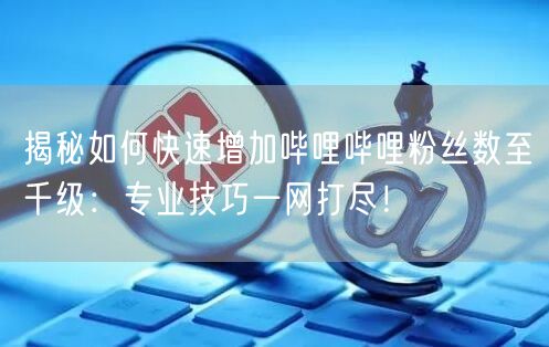 揭秘如何快速增加哔哩哔哩粉丝数至千级：专业技巧一网打尽！