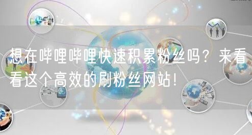 想在哔哩哔哩快速积累粉丝吗？来看看这个高效的刷粉丝网站！