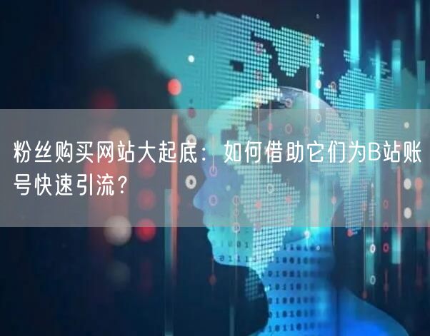 粉丝购买网站大起底：如何借助它们为B站账号快速引流？