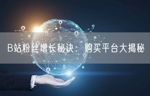 B站粉丝增长秘诀：购买平台大揭秘