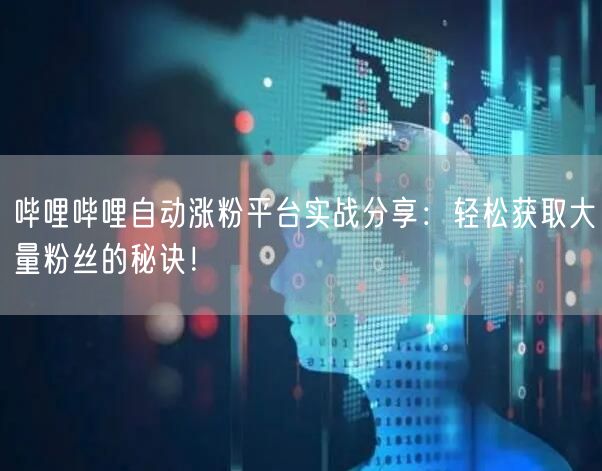 哔哩哔哩自动涨粉平台实战分享：轻松获取大量粉丝的秘诀！