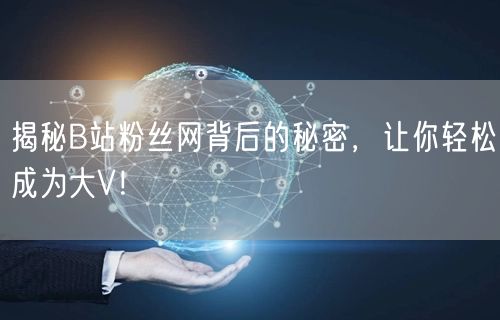揭秘B站粉丝网背后的秘密，让你轻松成为大V！