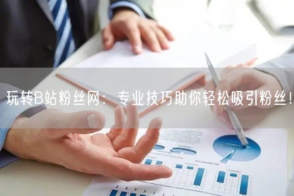 玩转B站粉丝网：专业技巧助你轻松吸引粉丝！