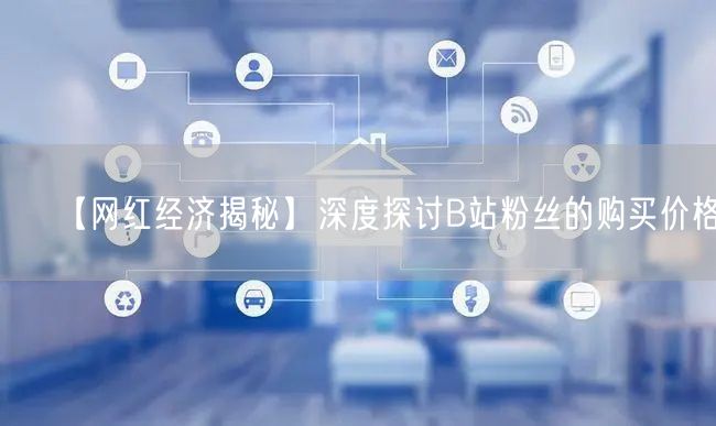 【网红经济揭秘】深度探讨B站粉丝的购买价格！