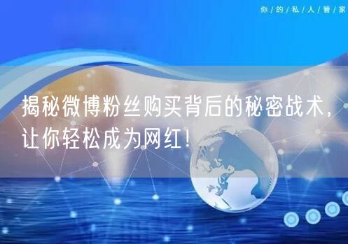 揭秘微博粉丝购买背后的秘密战术，让你轻松成为网红！