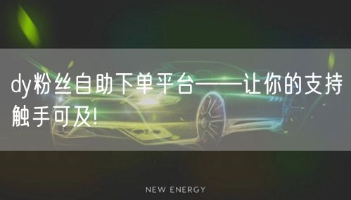 dy粉丝自助下单平台——让你的支持触手可及!
