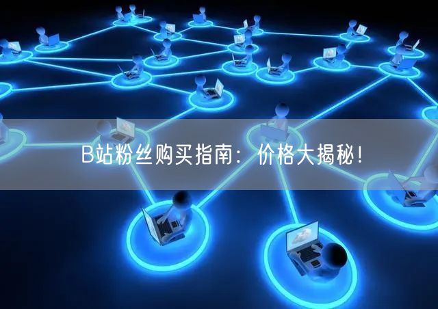 B站粉丝购买指南：价格大揭秘！