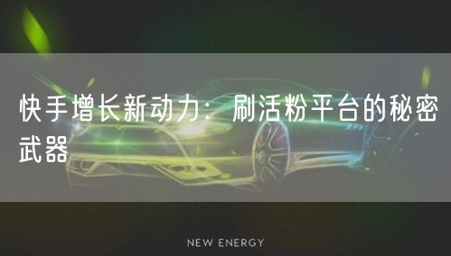 快手增长新动力：刷活粉平台的秘密武器