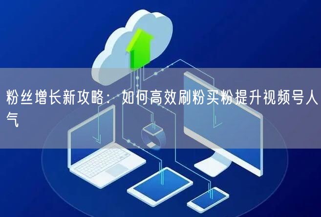 粉丝增长新攻略：如何高效刷粉买粉提升视频号人气