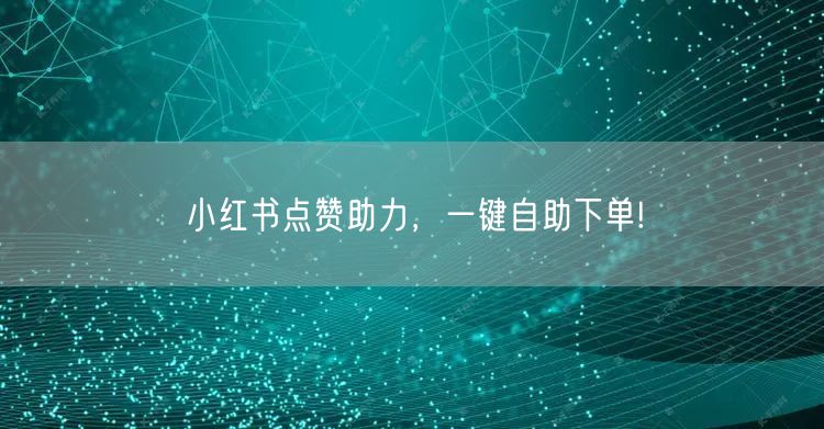 小红书点赞助力，一键自助下单!