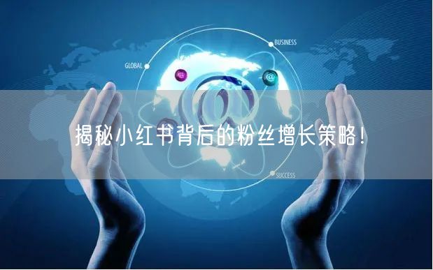 揭秘小红书背后的粉丝增长策略！