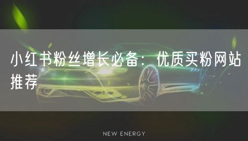 小红书粉丝增长必备：优质买粉网站推荐