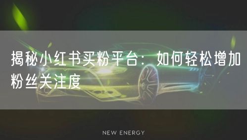 揭秘小红书买粉平台：如何轻松增加粉丝关注度
