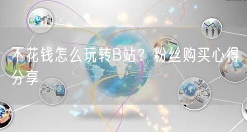 不花钱怎么玩转B站？粉丝购买心得分享