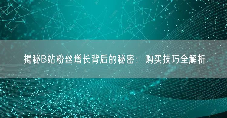 揭秘B站粉丝增长背后的秘密：购买技巧全解析