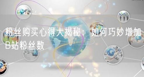 粉丝购买心得大揭秘：如何巧妙增加B站粉丝数