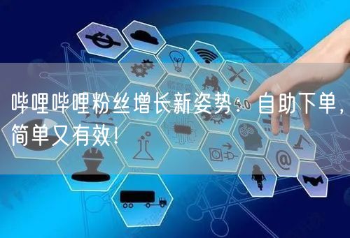 哔哩哔哩粉丝增长新姿势：自助下单，简单又有效！