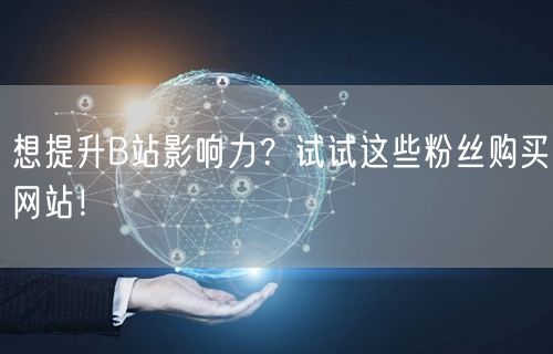 想提升B站影响力？试试这些粉丝购买网站！
