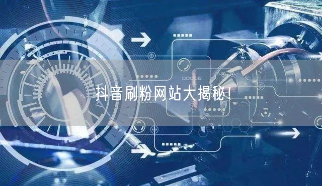 抖音刷粉网站大揭秘！