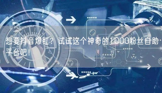 想要抖音爆红？试试这个神奇的1000粉丝自助平台吧！