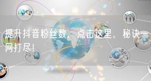 提升抖音粉丝数，点击这里，秘诀一网打尽！