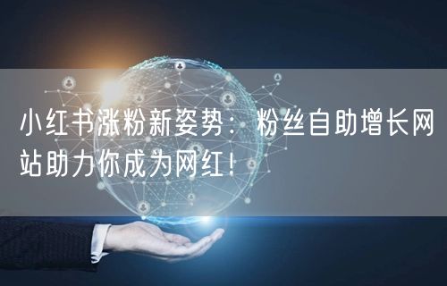 小红书涨粉新姿势：粉丝自助增长网站助力你成为网红！