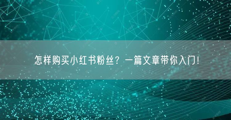 怎样购买小红书粉丝？一篇文章带你入门！