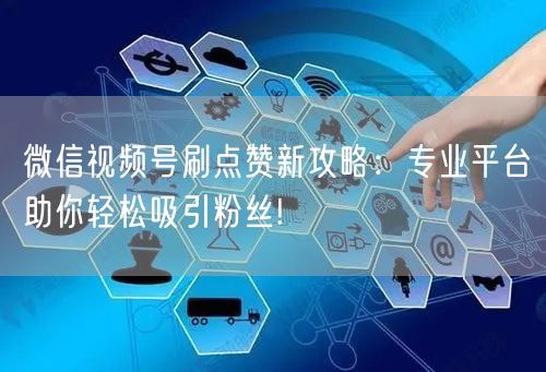 微信视频号刷点赞新攻略：专业平台助你轻松吸引粉丝!
