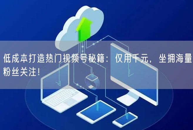 低成本打造热门视频号秘籍：仅用千元，坐拥海量粉丝关注！