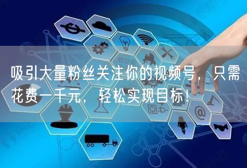 吸引大量粉丝关注你的视频号，只需花费一千元，轻松实现目标！