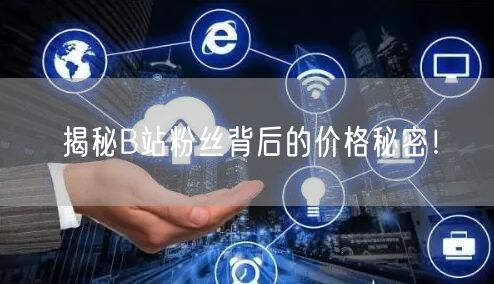 揭秘B站粉丝背后的价格秘密！