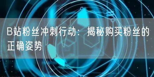 B站粉丝冲刺行动：揭秘购买粉丝的正确姿势