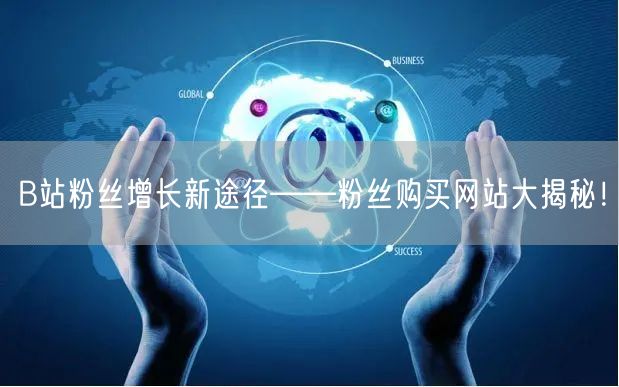 B站粉丝增长新途径——粉丝购买网站大揭秘！