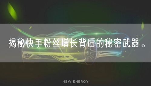揭秘快手粉丝增长背后的秘密武器。