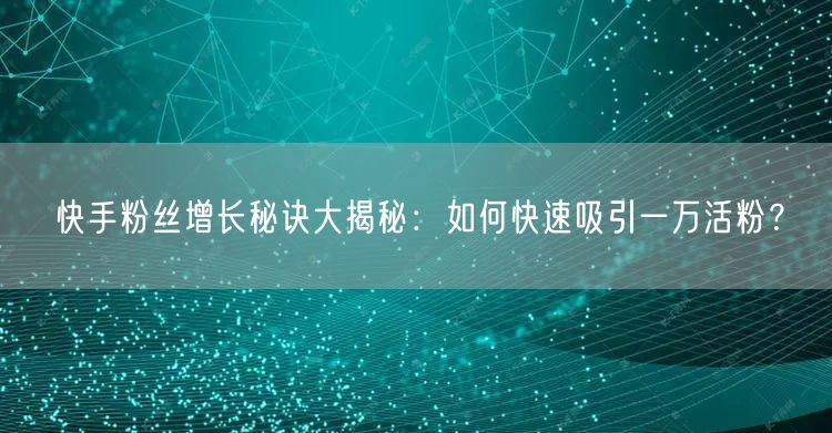 快手粉丝增长秘诀大揭秘：如何快速吸引一万活粉？